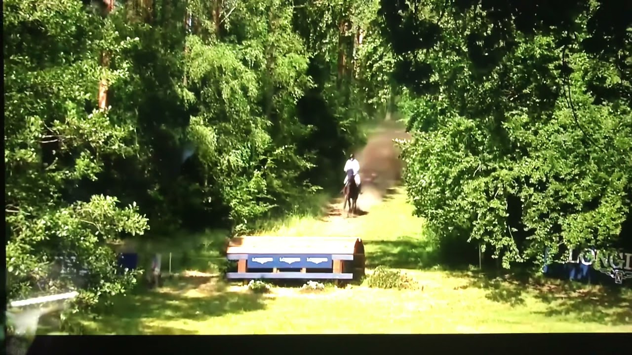 CCI4* de Luhmühlen : Michael Jung & Chipmunk