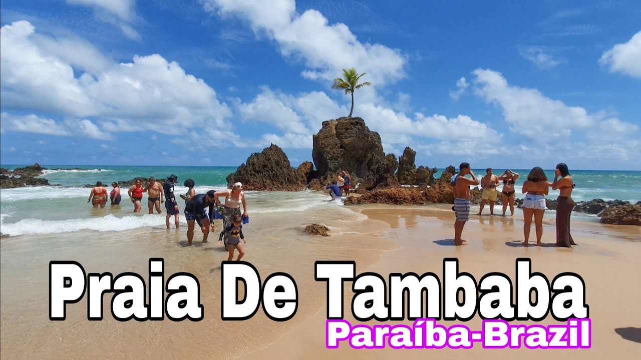 Praia De Tambaba Litoral Sul Da Paraíba Em Detalhes