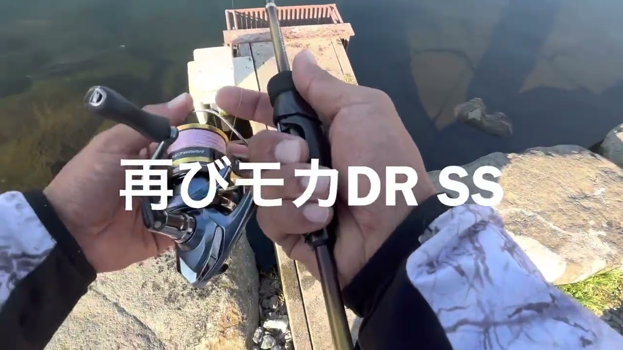 しむたく釣行【朝霞ガーデン】噂通りモカDR ssは神ルアーだった