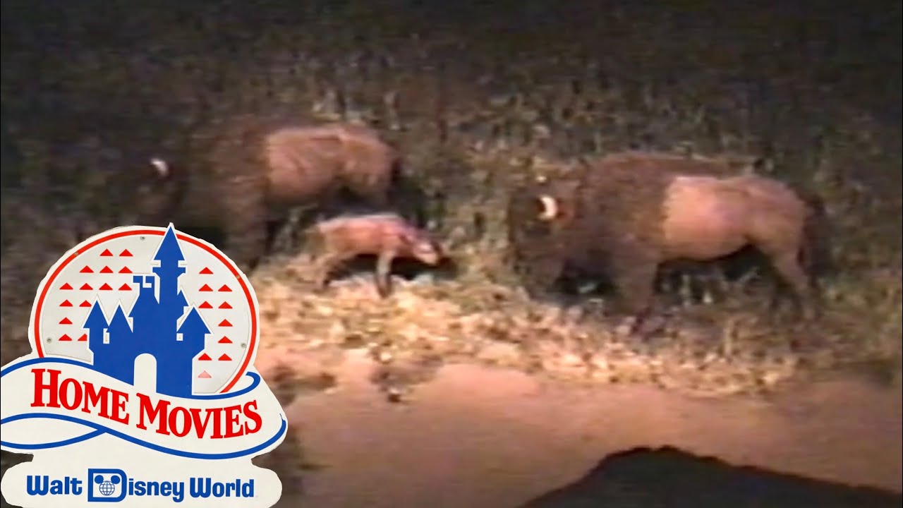 Living With The Land (Full Ride) - May 1990 - Disney World, Epcot