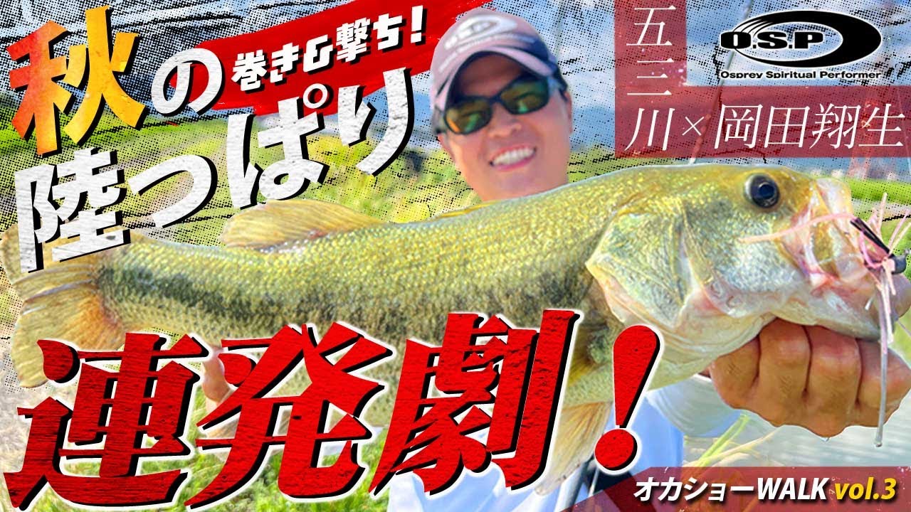【オカショーWALK vol.3】巻き＆撃ち！秋の陸っぱり連発劇！in 五三川/岡田翔生