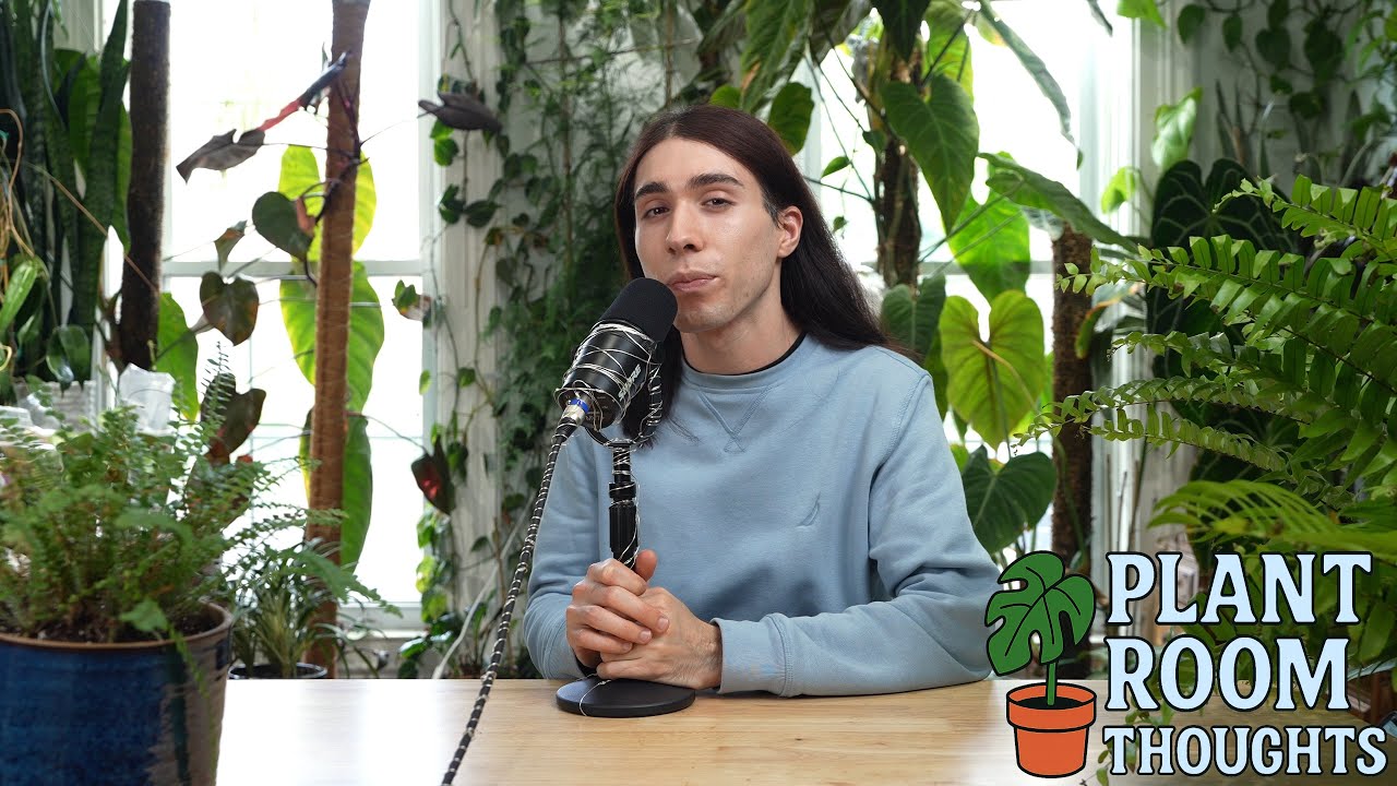 Pompous Fruit Fly | Plant Room Thoughts No. 9