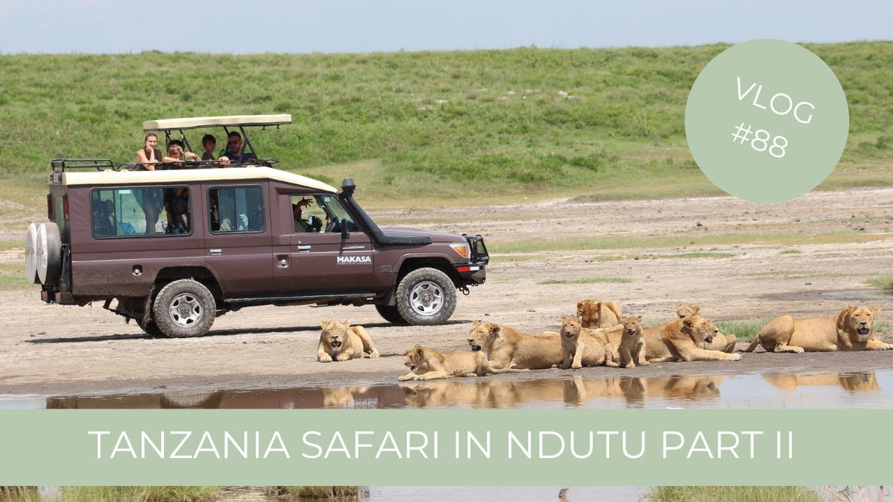 Our Tanzania Safari in Ndutu South Serengeti Part 2 | Makasa Tanzania Safari ǀ VLOG #88