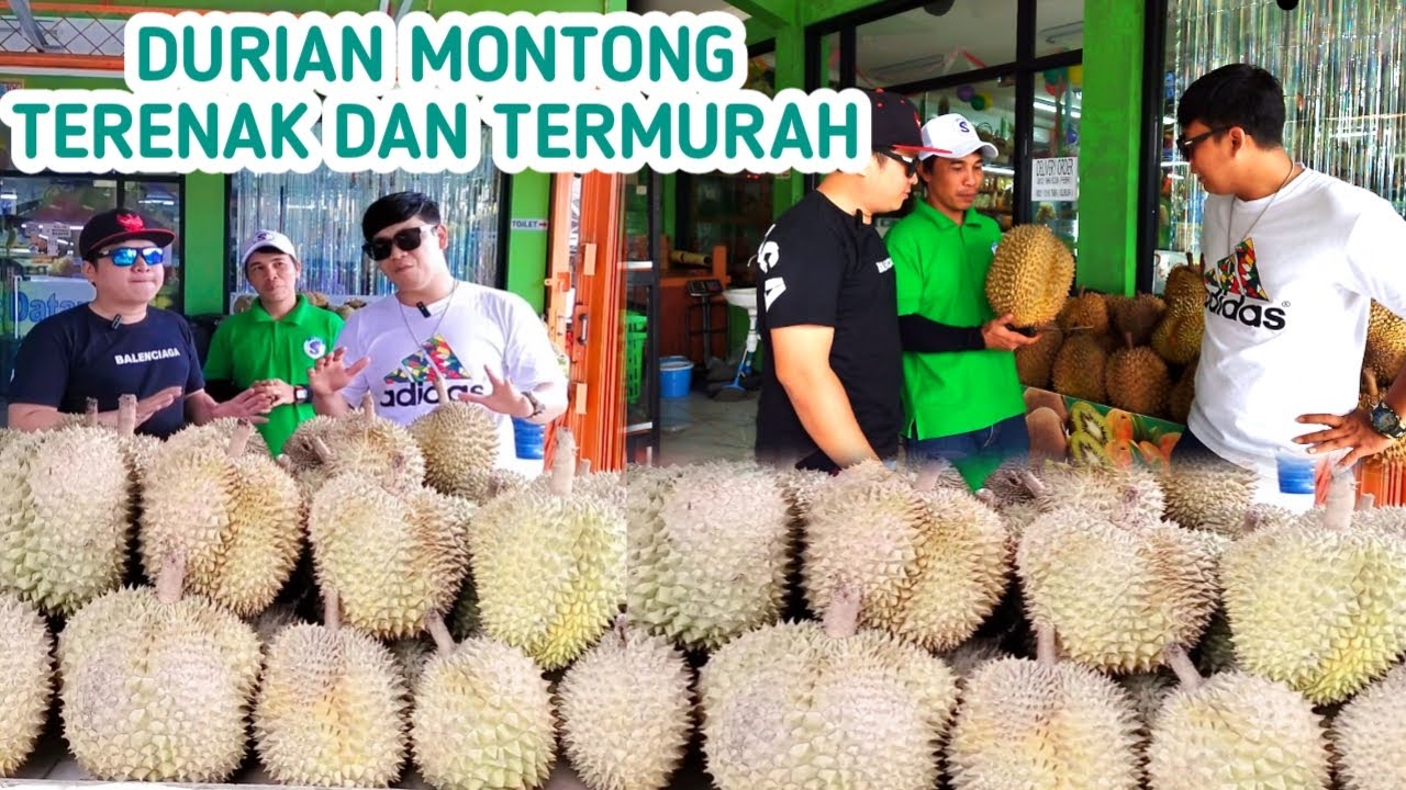 DURIAN MONTONG TERENAK DAN TERMURAH, BELI DURIAN GRATIS DURIAN DI @tokobuahsrikandi6896