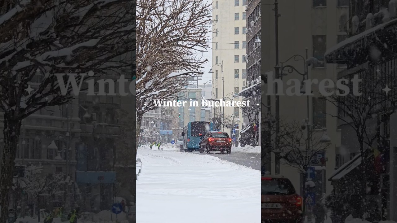 Bucharest Covered in Snow ☃️❄️