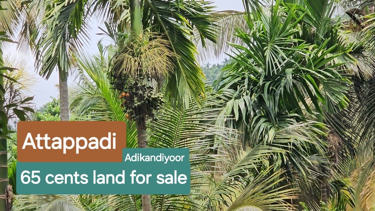 Agriculture Land For Sale  Attapadi 65cents 9388890009