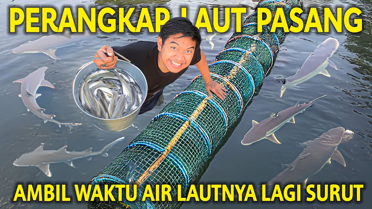 PASANG PERANGKAP IKAN TERPANJANG DI LAUT PAS LAGI PASANG! AMBIL PAS AIRNYA LAGI SURUT!
