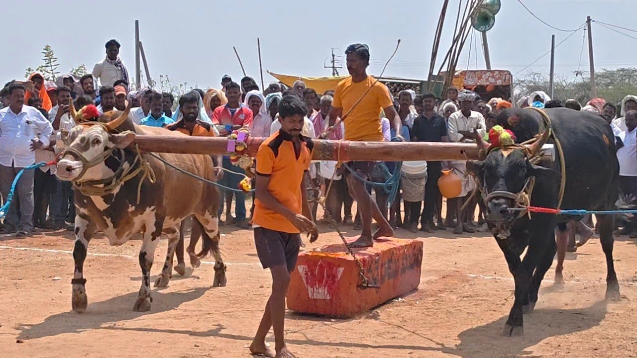2026-వడ్డుపాలెం.జనరల్.1వ జత.మూలింటి కొండయ్య గారు మద్దలచెరువు గ్రామం సత్యసాయి జిల్లా