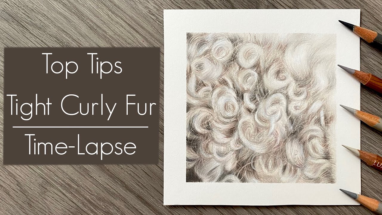 Realistic Tight Curly Fur Drawing in Coloured Pencils / Time-Lapse / Top Tips + Techniques