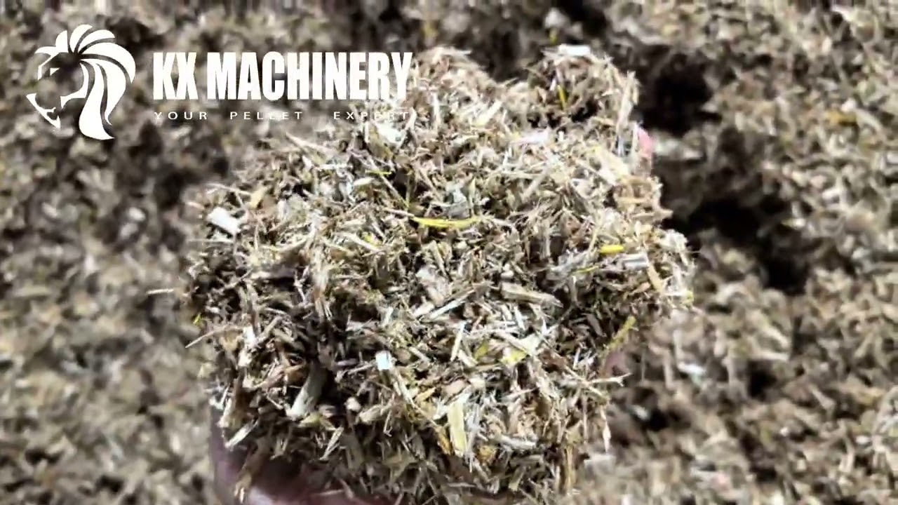 Biomass Wood Chip Pellet Machine for Sale Wood Chip Pellet Production Line for Industrial