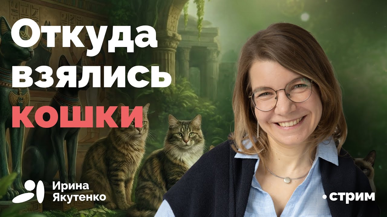 Ученые переписали историю одомашнивания кошачьих