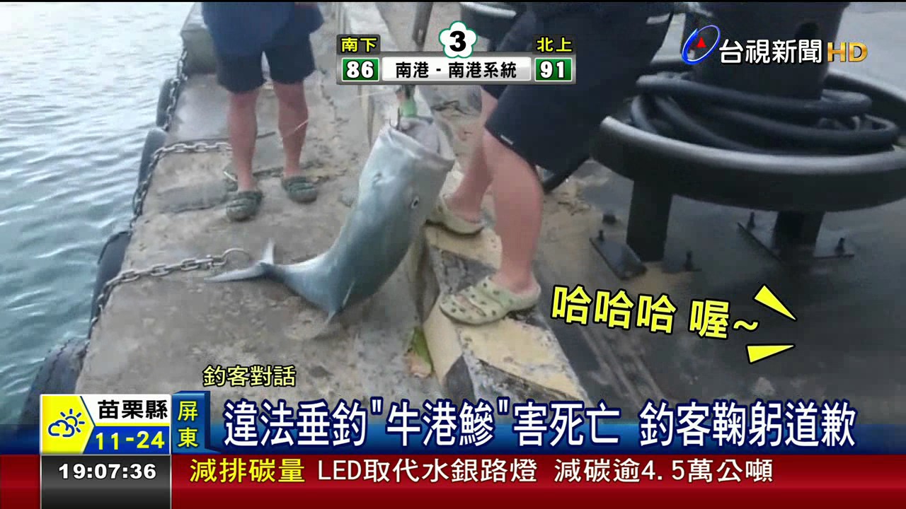 違法垂釣牛港害死亡釣客鞠躬道歉