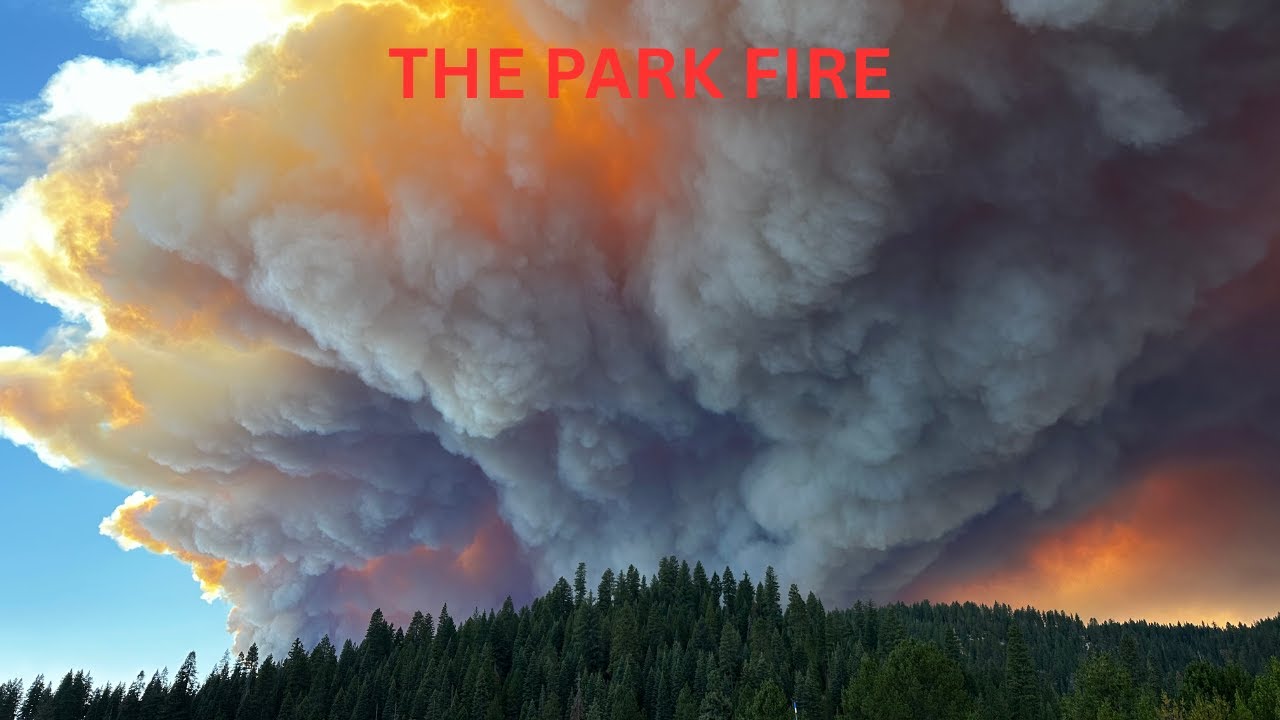 California's Largest Arson Fire 1 Year Later - The Park Fire