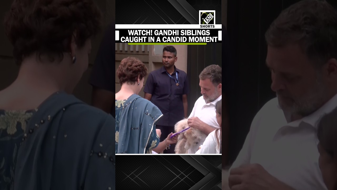WATCH: Rahul, Priyanka Gandhi share candid moment with pet dog, Children after AICC PC!!