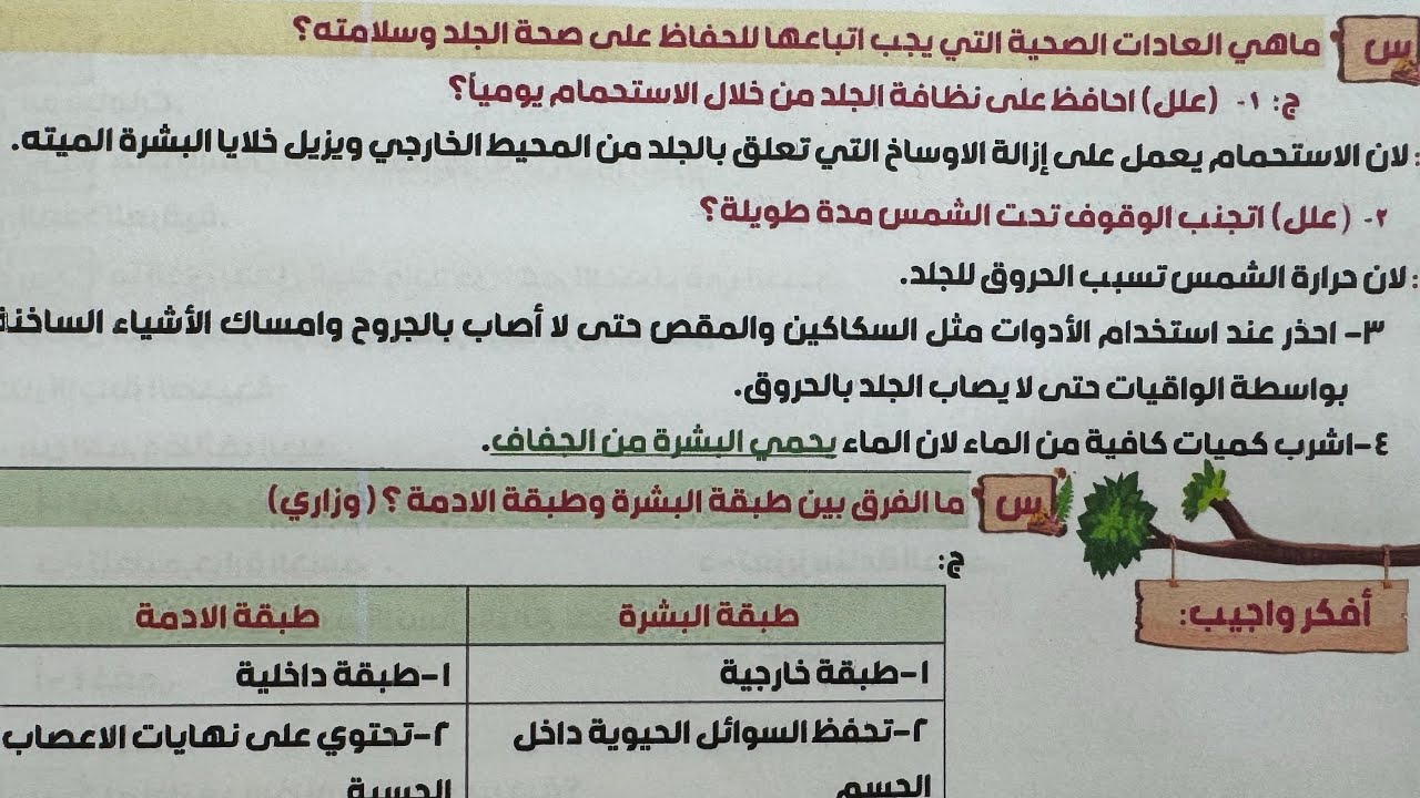 ملخص الجلد مع الاسئلة الوزارية علوم الصف السادس الابتدائي ص ٨٦ ،٨٧ ، ٨٨ ،٨٩