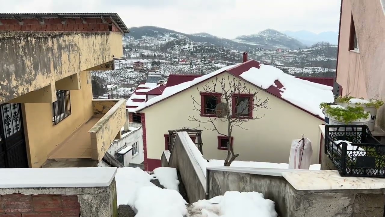 Hüseyin Kuzu ile Türküler ve Köy Manzarası | Tirebolu Danışman Köyü. 