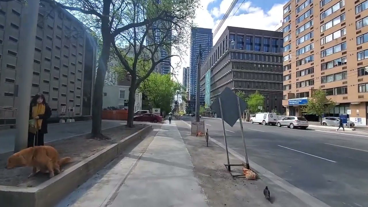 Toronto Ontario | what a perfect walking looks like | Jarvis street 😳 👌