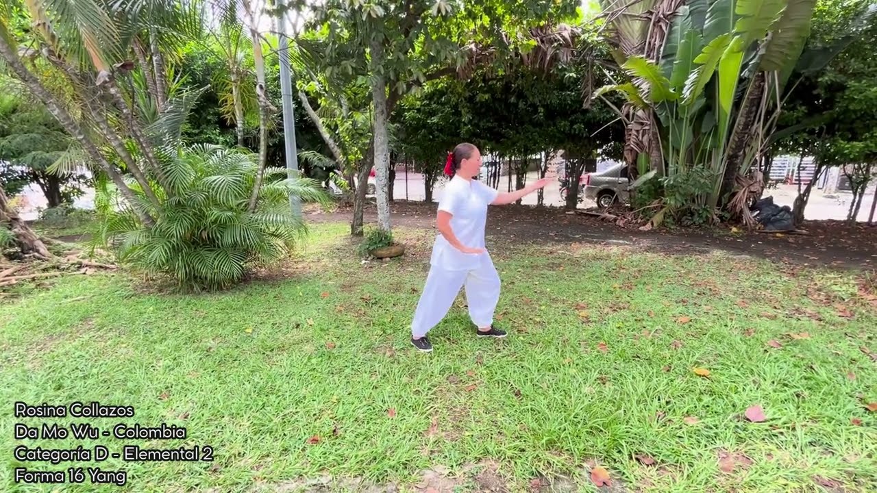 Rosina Collazos  Yang 16 Elemental 2 DMW Colombia