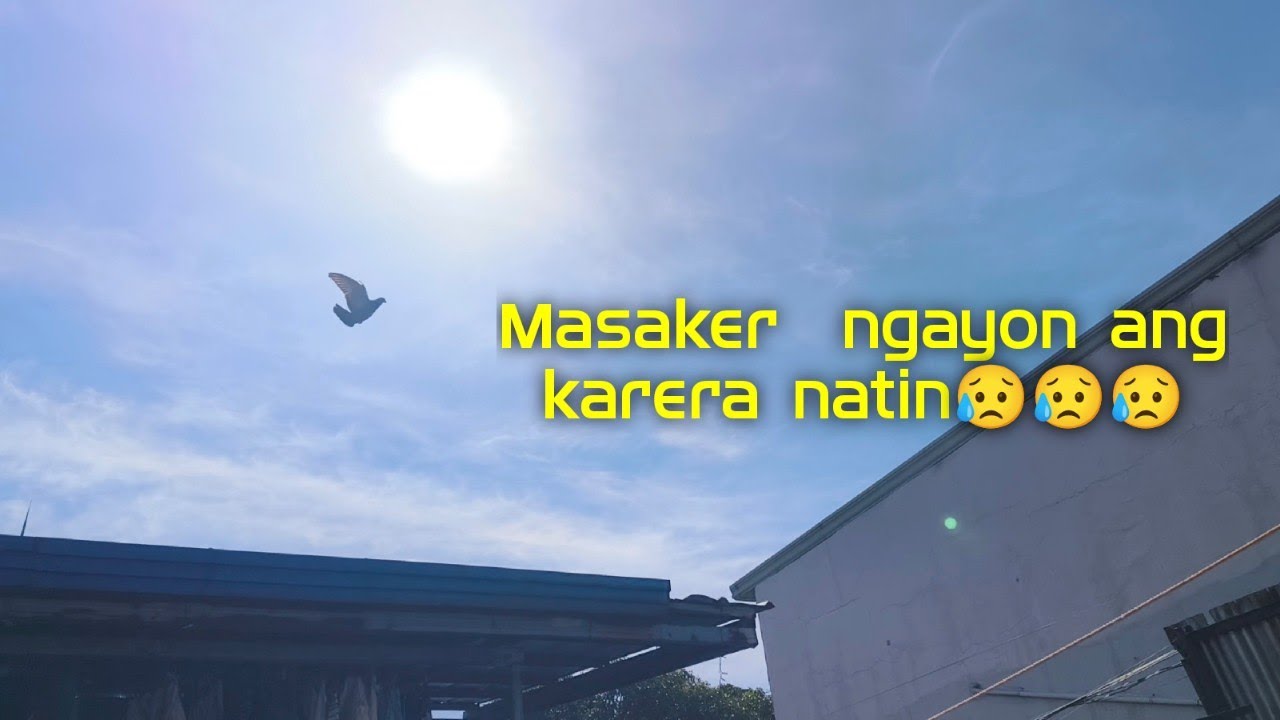 Masaker ang karera natin ngayon😥😥😥