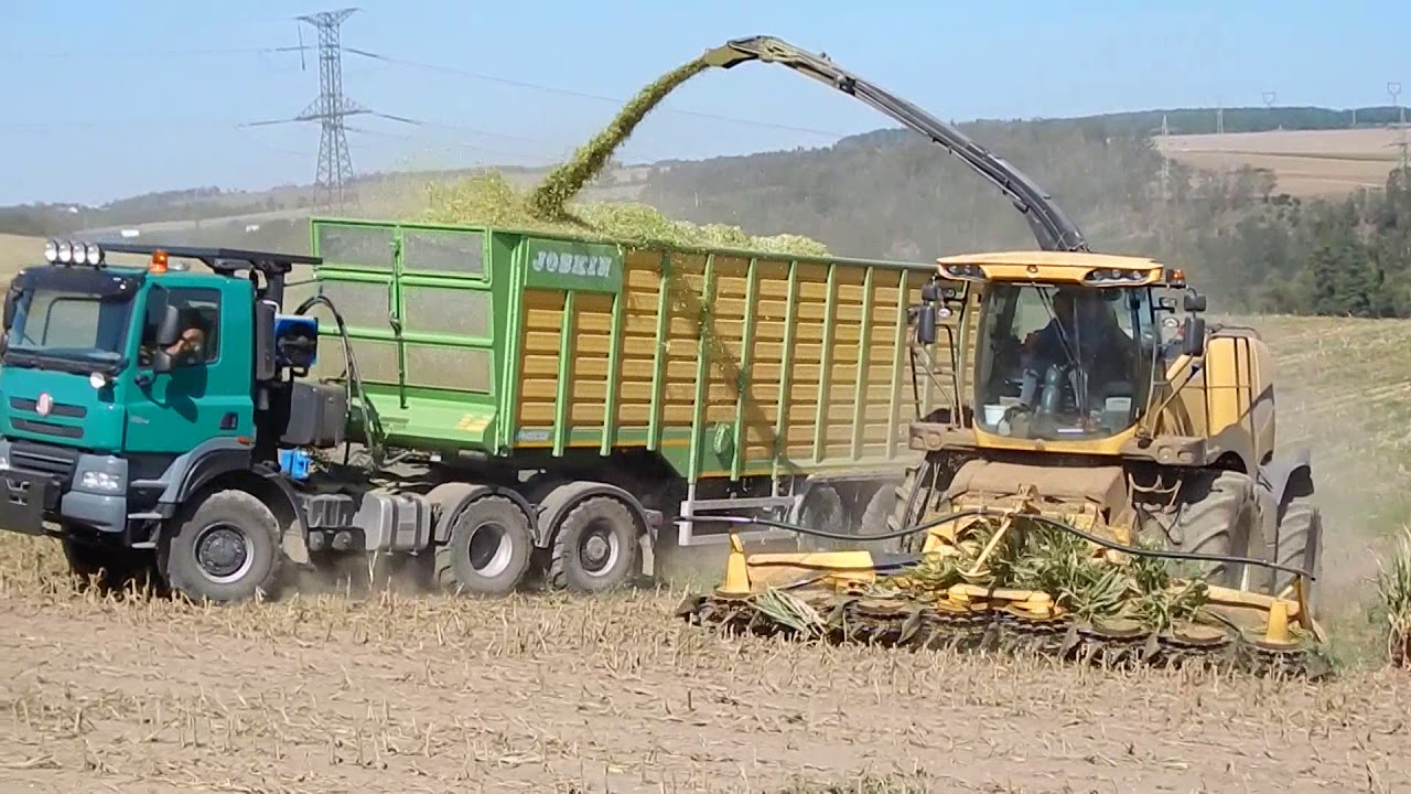 TATRA Phoenix AgroTruck and NewHolland FR600 Corn Silage 2017