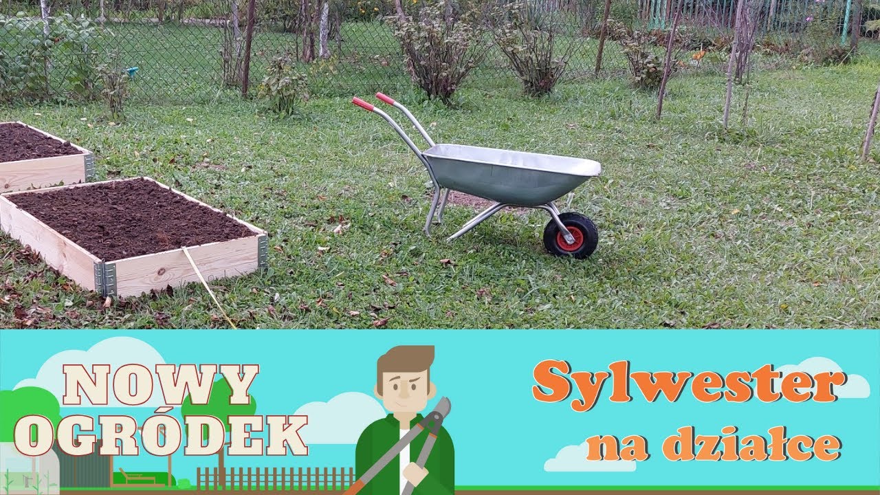 Sylwester na działce - taczka ogrodowa z marketu budowlanego