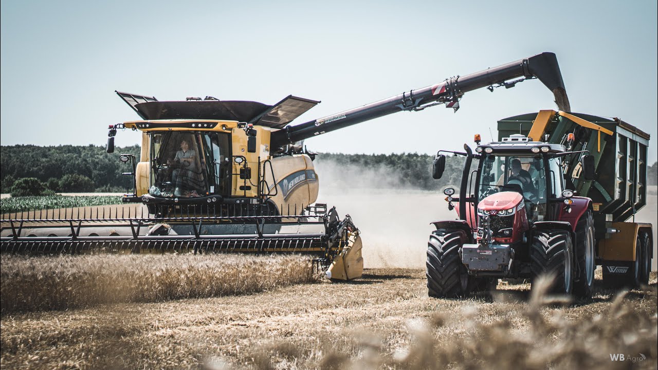 Lubelskie Mega Żniwa w GR Klajn 2022 | New holland Cr 9.90 Cx 6.80 MF 6716S | Usługi rolnicze