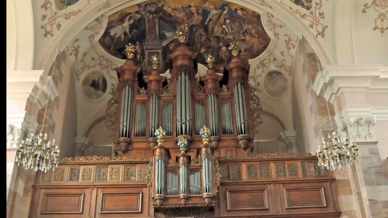 EBERSMUNSTER/SILBERMANNORGEL (Rolf Schwarz)