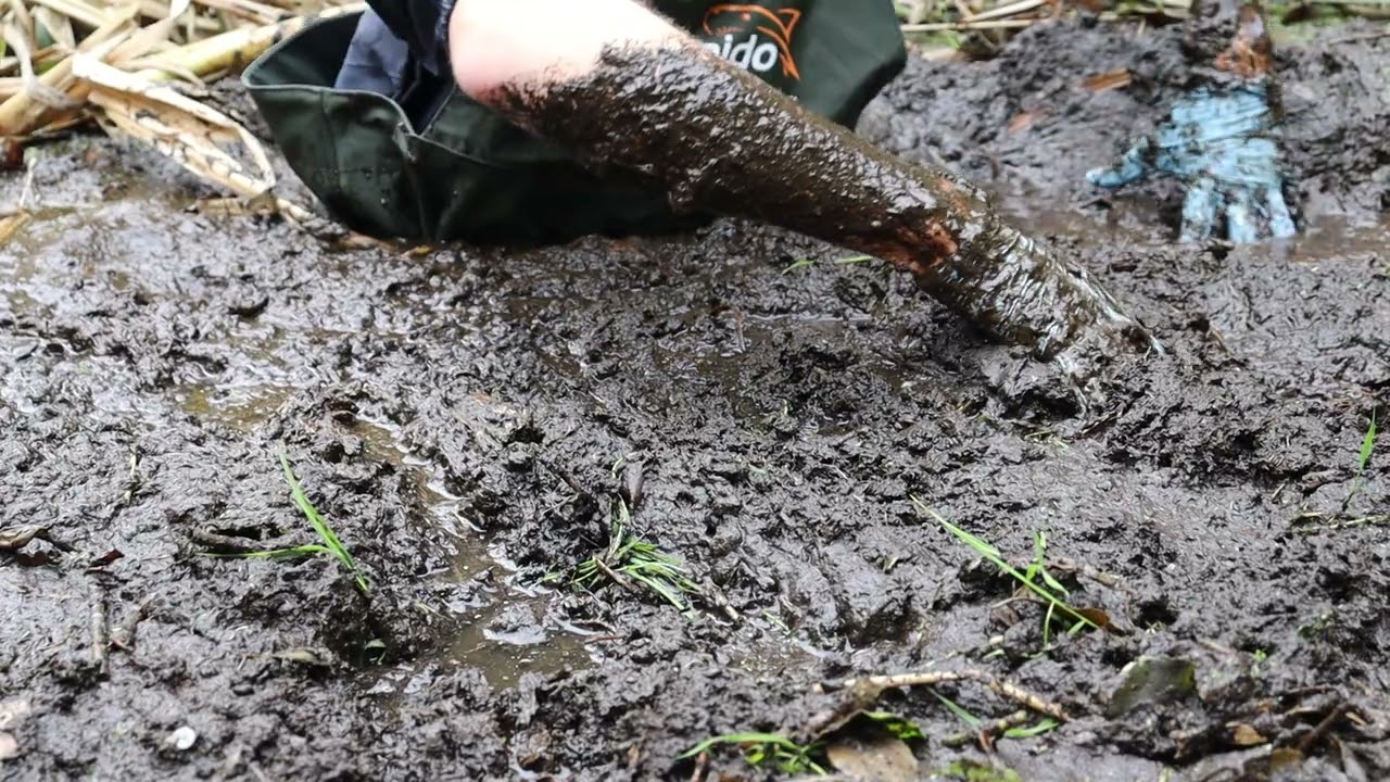 Waders in bottomless swamp #quicksand 