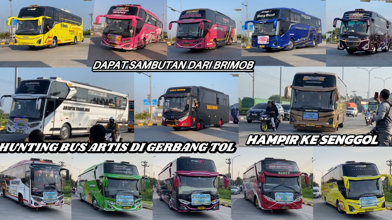 MOMEN EPIC🤩🤩,!!! HUNTING BUS ARTIS DI GERBANG TOL PART 77 !!! FULL TELOLET BASURI