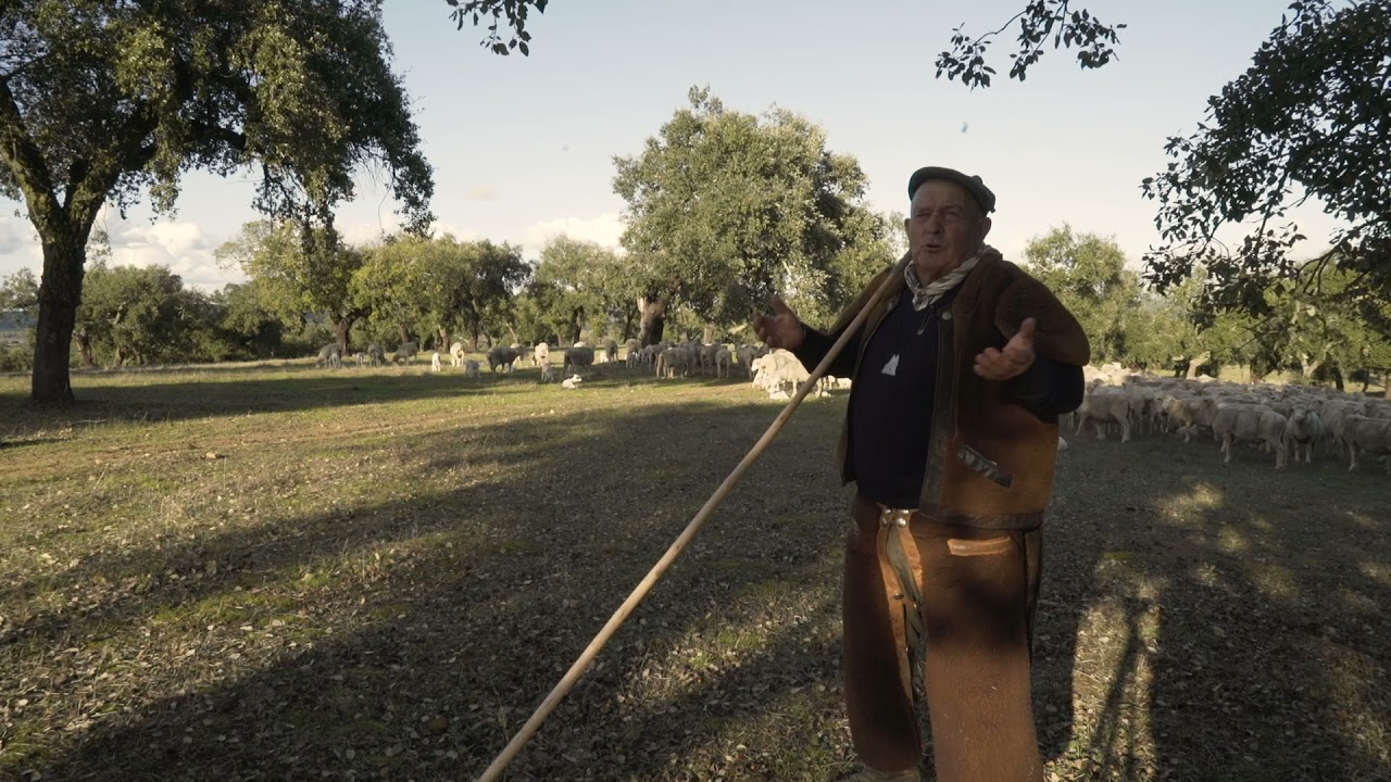 Ti Barriga Verde  - O Cante em Portel