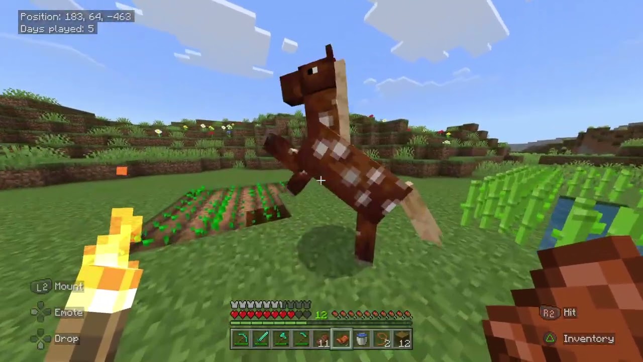 Getting a horse