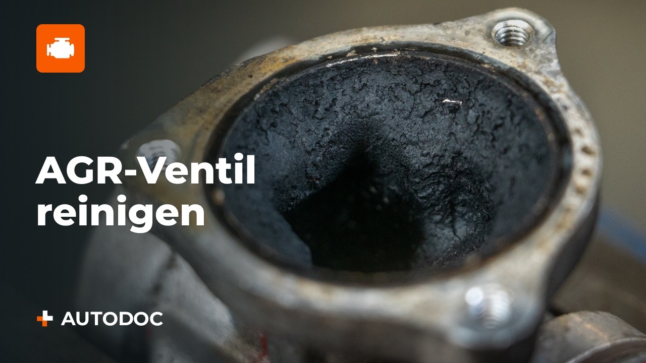2 Möglichkeiten, das AGR-Ventil zu reinigen – welche ist besser?