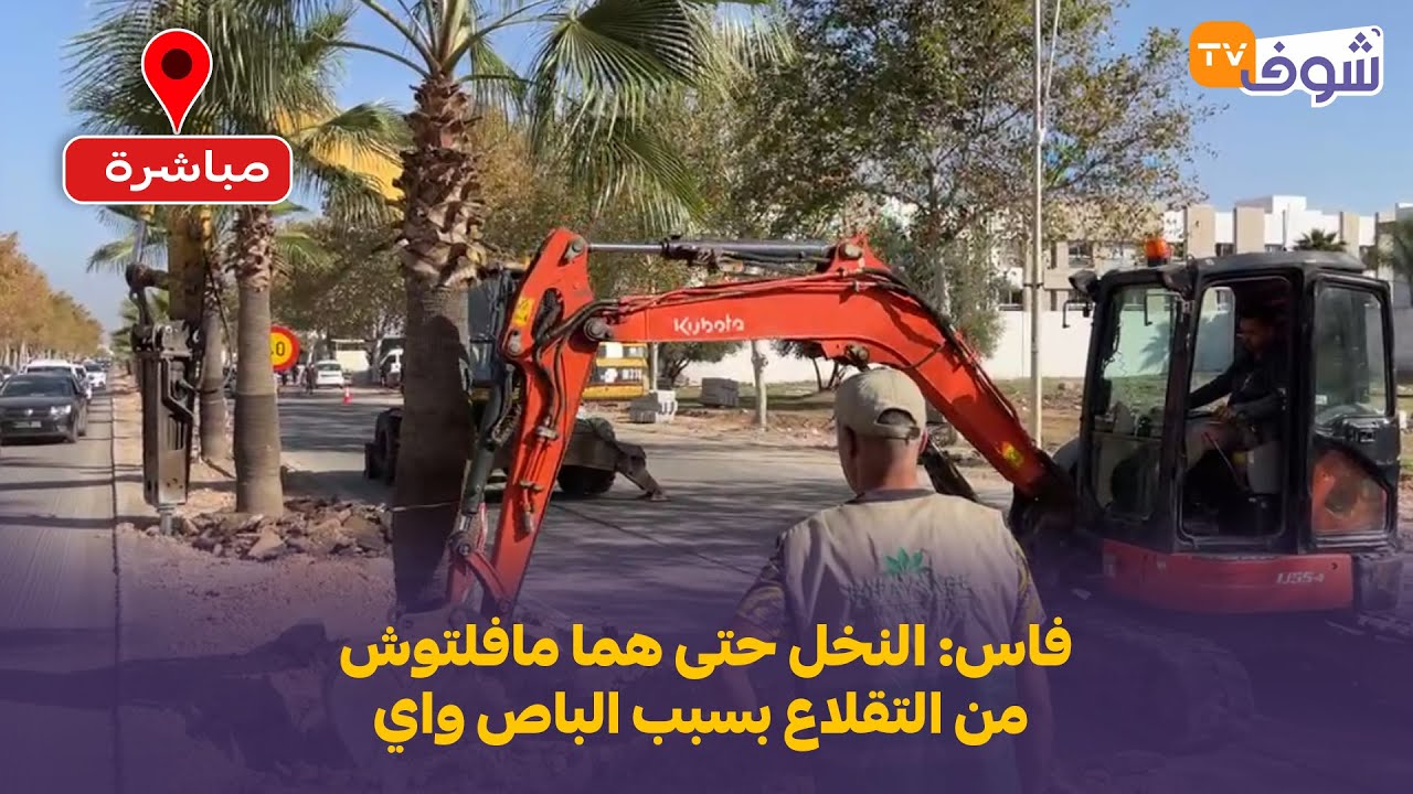 عاجل ومباشرة من فاس: النخل حتى هما مافلتوش من التقلاع بسبب الباص واي.. شوفو شنو دارو ليهم