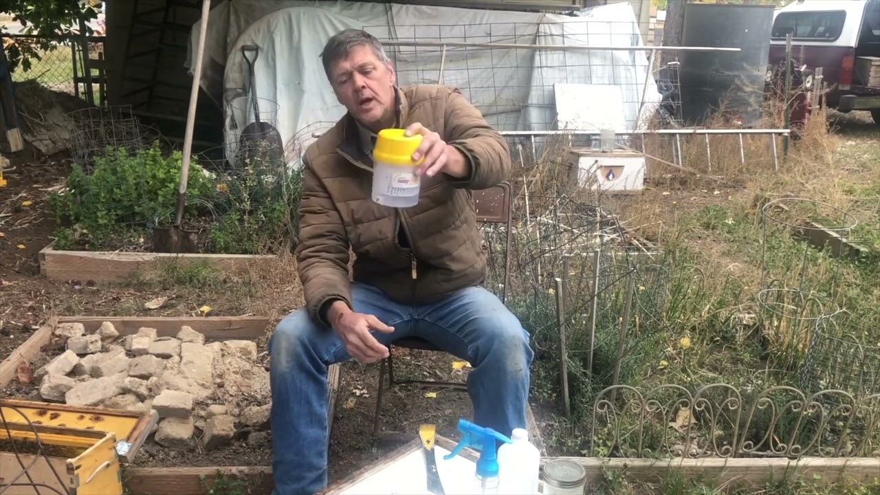 Testing for Varroa Mites Using an Easy Check with Alcohol