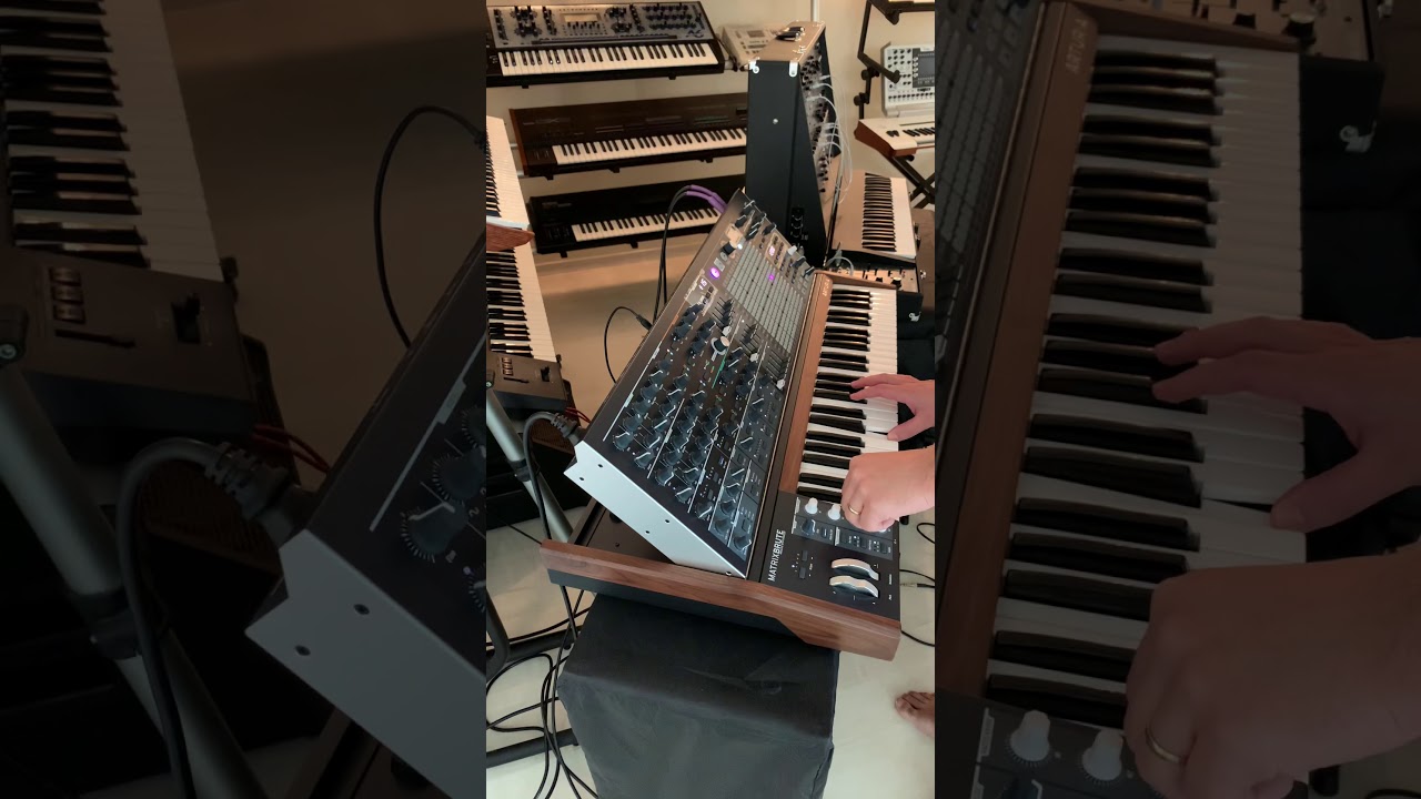 Matrixbrute , Steiner-Parker filter and a ladder filter