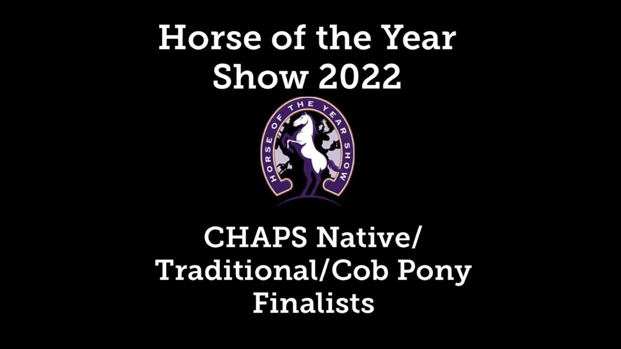 HOYS 2022 Coloured native / cob/ trad pony Finalists