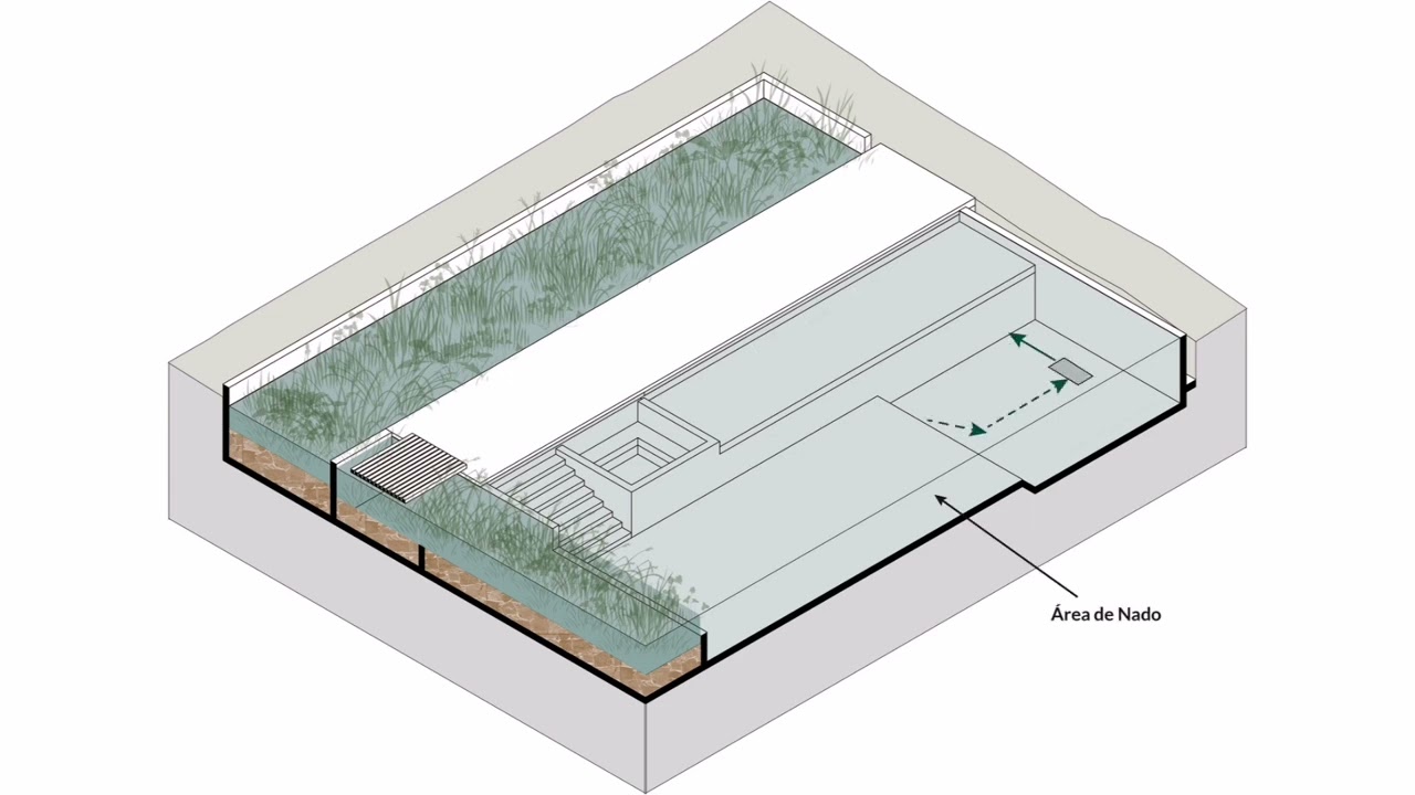 Funcionamiento piscina natural - VIC