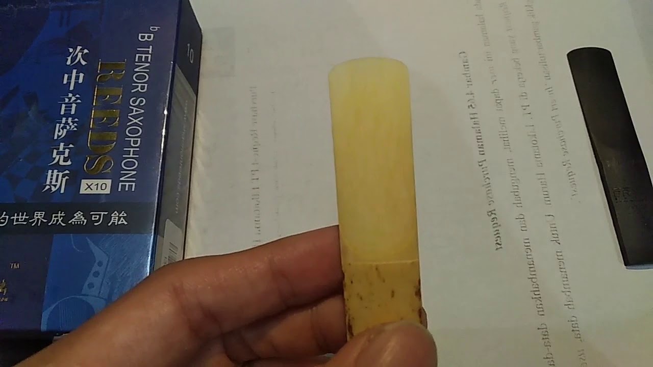 Synthetic VS Cane Reed - Bravo VS Shannon!