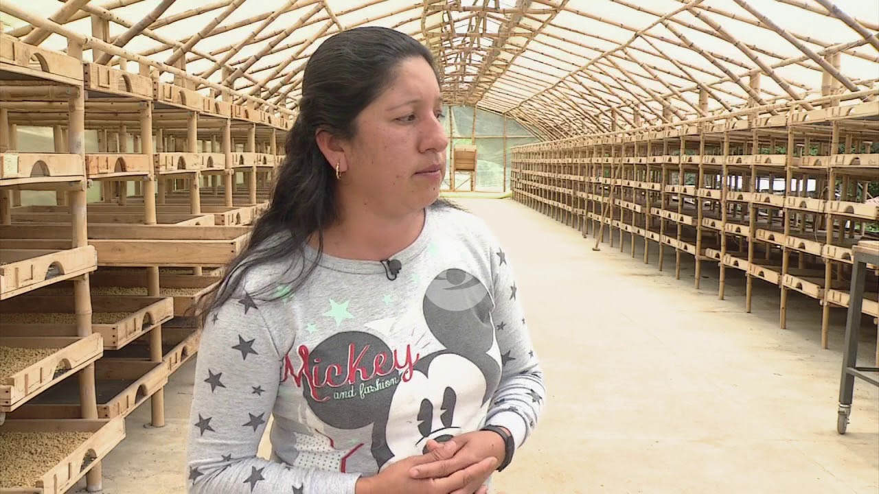 Métodos de secado del café | La Finca de Hoy