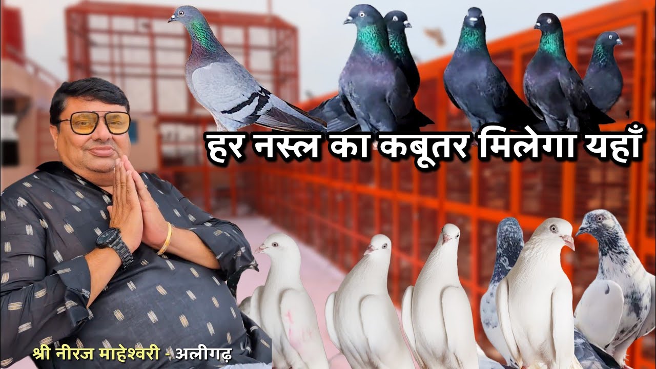 कभी देखि हैं एक छत पर इतनी नस्लें 😀 | The Home Sanctuary 
