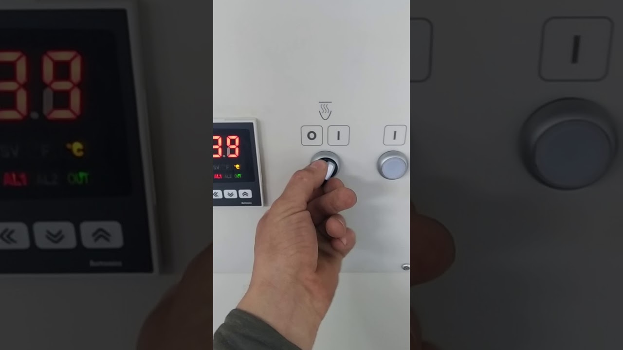 9 августа 2019 г.