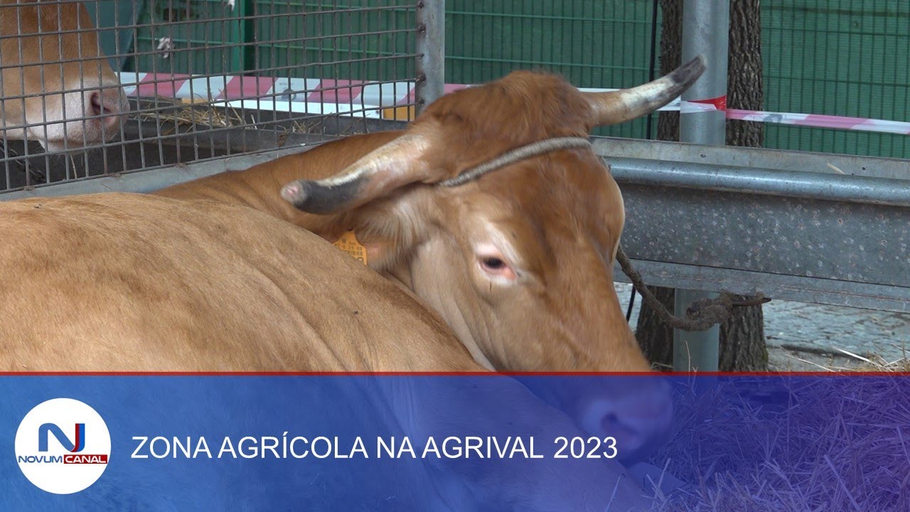 AGRIVAL, FEIRA AGRÍCOLA