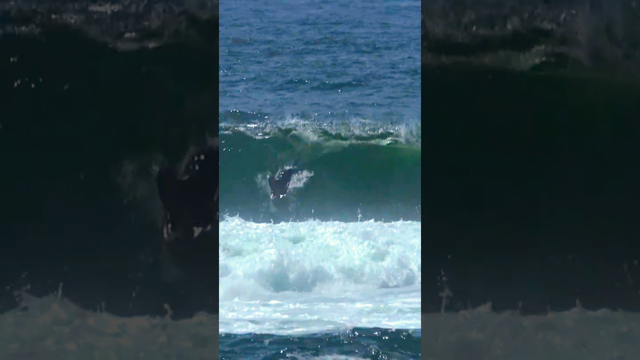 A couple of deep tubes at shark island  #surfcircus #surf #sharkisland #shark #bigwaves #surfing