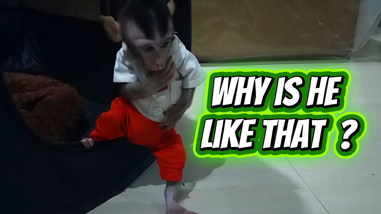 why is he like that  ? #viral #trending #viralvideo #viral #trend