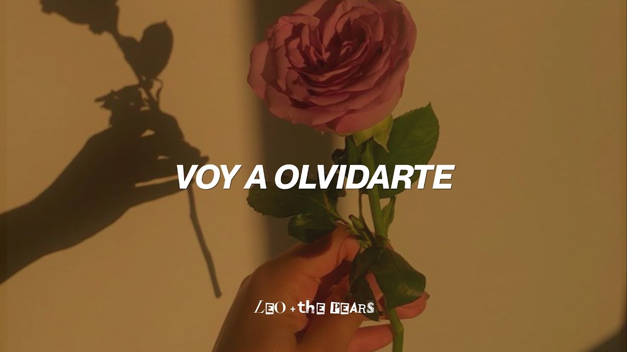 Reik - Voy a Olvidarte (Letra)