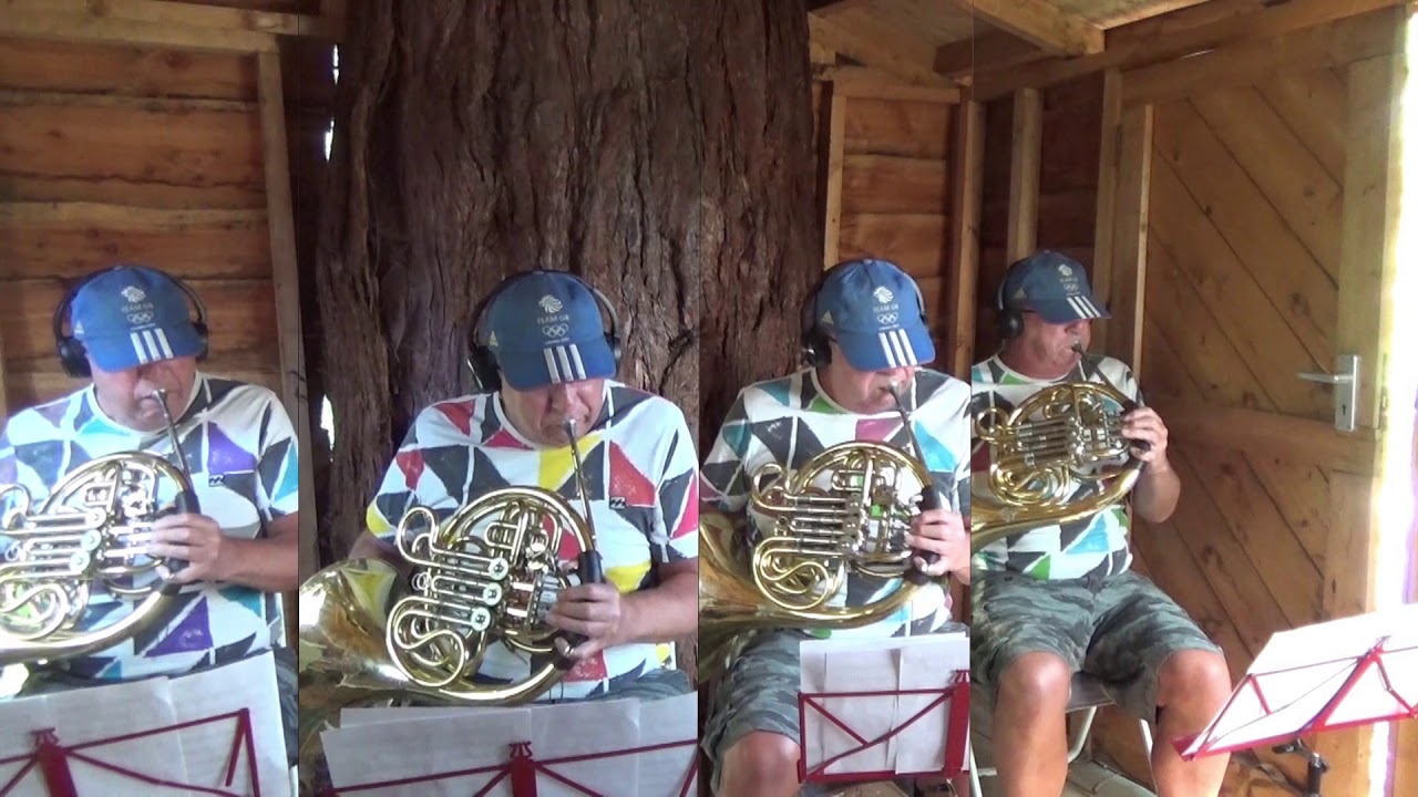 Could it be Magic for four horns