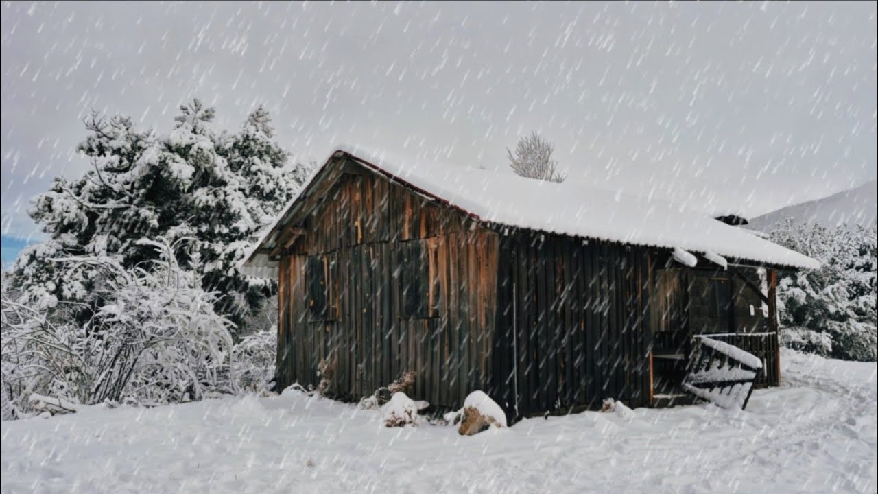 365 Days Hiding in an Abandoned Log Cabin in Snowstorm and Extreme Rain - Off Grid Cabin