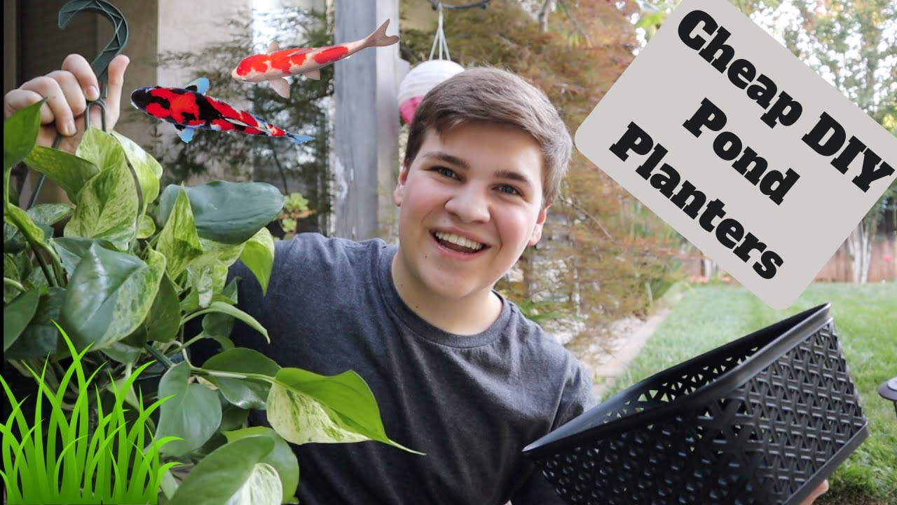 CHEAP AND EASY *DIY* POND PLANT BASKETS