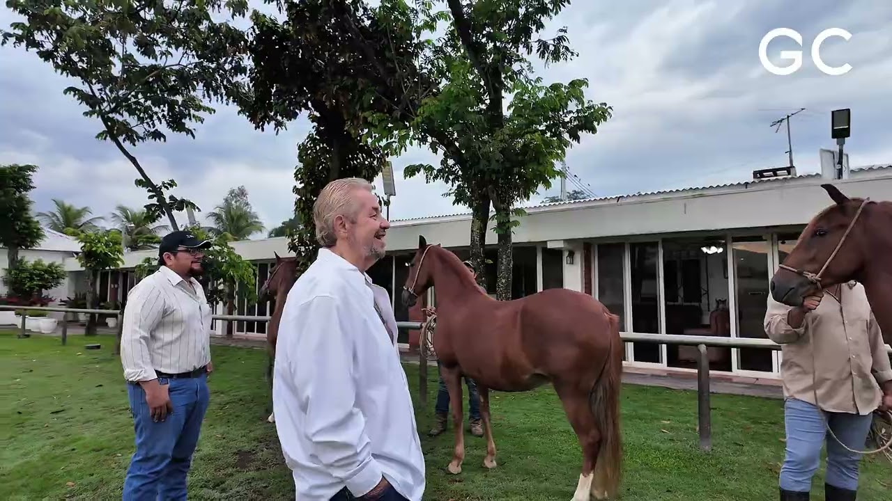 Progenie de SALEROSA