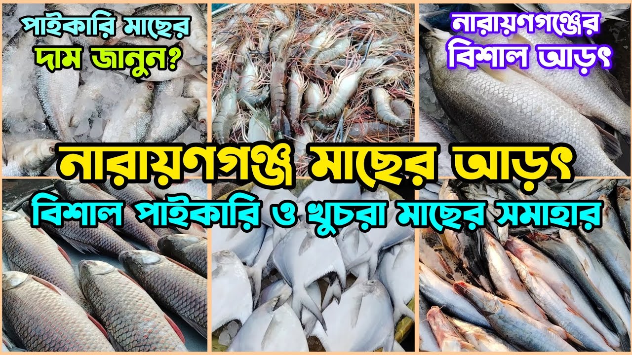 নারায়ণগঞ্জ মাছের আড়ৎ | পাইকারি দামে প্রচুর মাছের সমাহার | খুচরা দামেও আছে চমক! #মাছেরআড়ৎ #মাছেরআড়ত